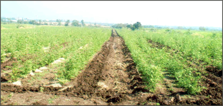 > </div>
<div class=